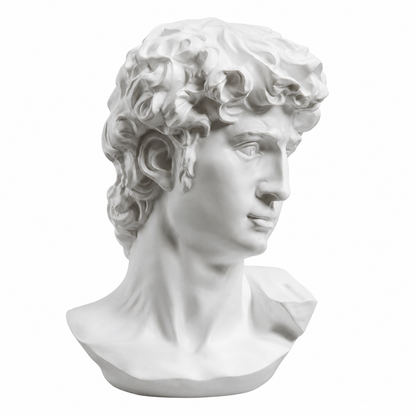 Noble Gaze